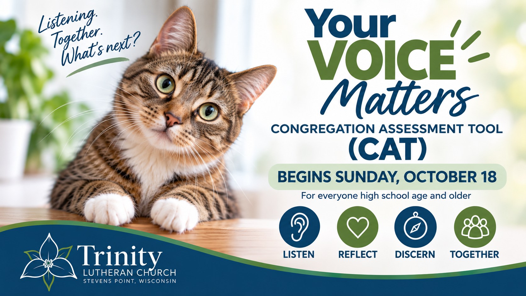 CAT Survey